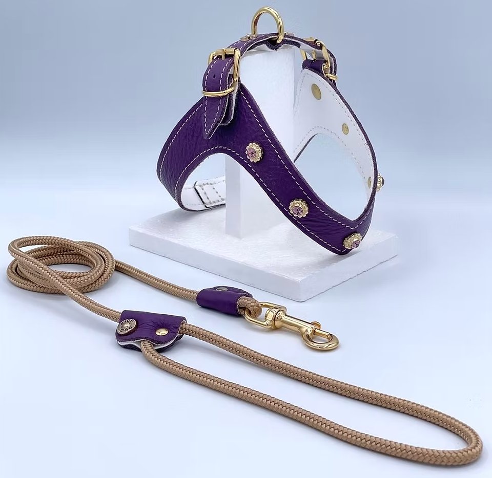 Violet Kite Harness