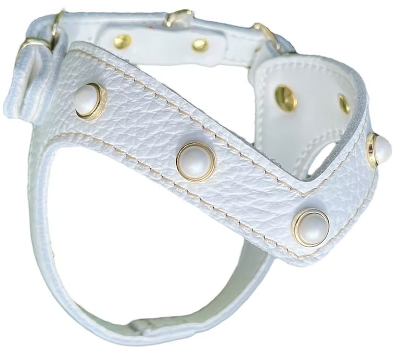 White Kite Harness