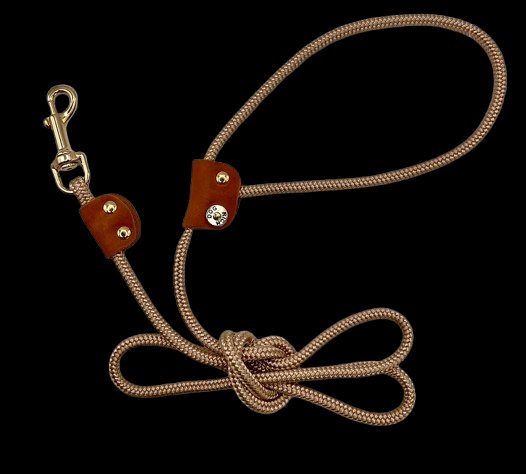 Kite Leash